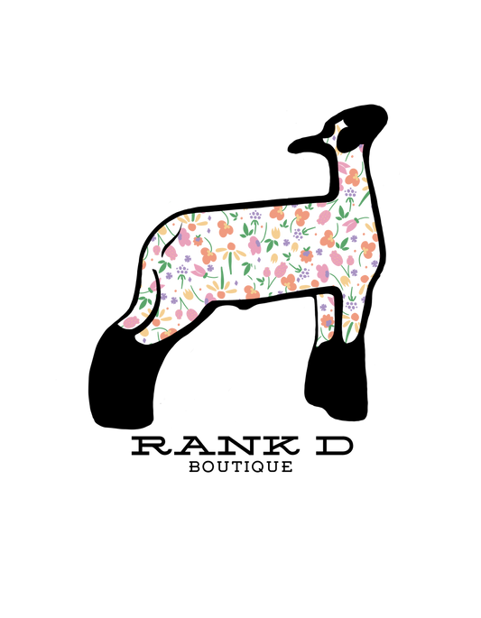 Show Sheep