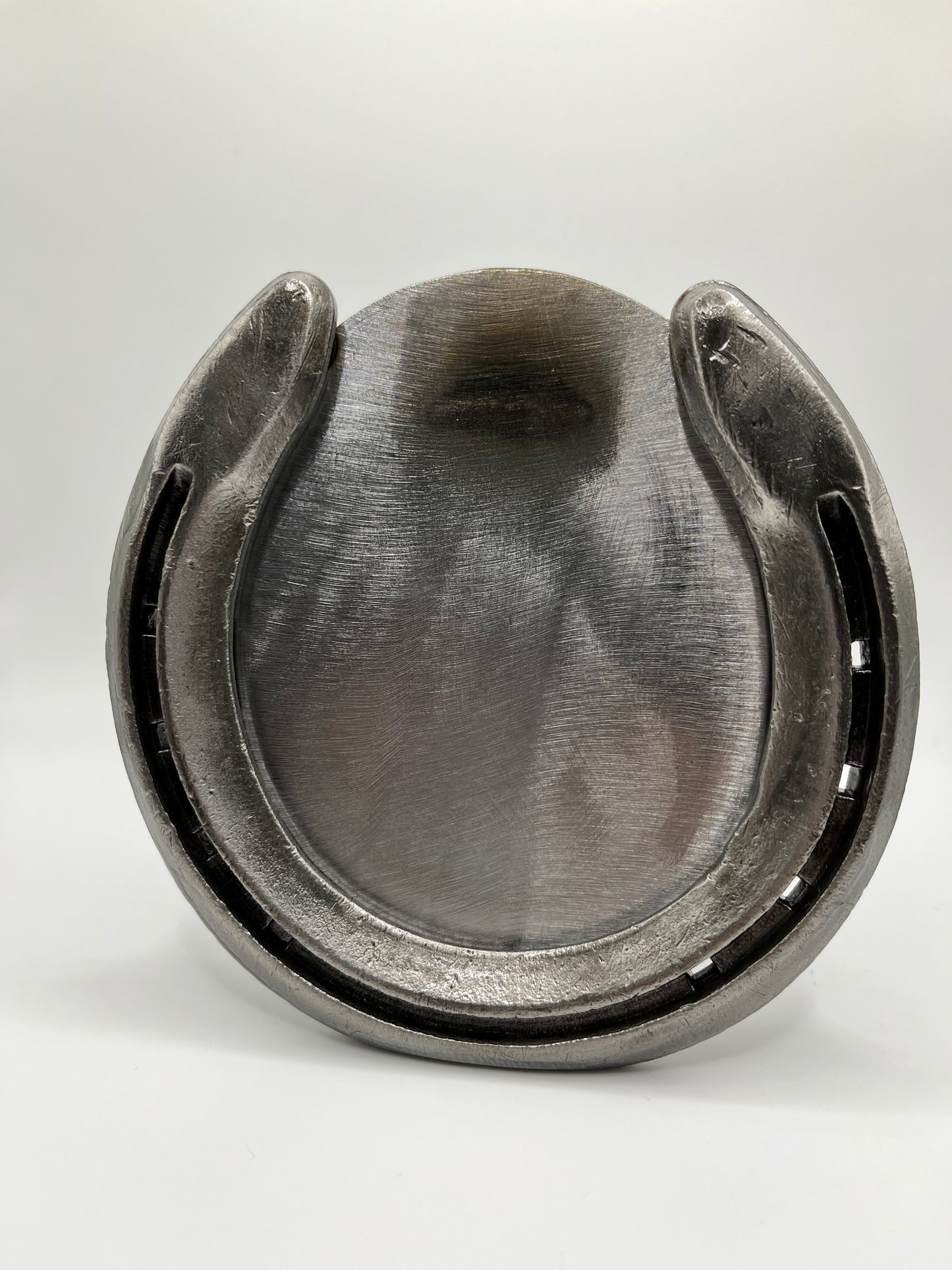 Blued Horseshoe Picture Frame