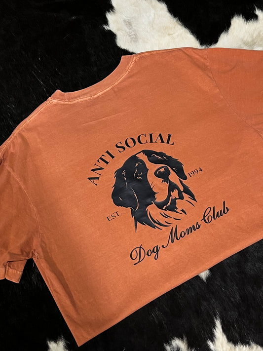 L Anti-Social Berner T-shirt