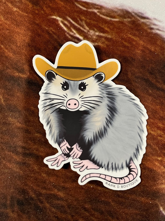 Possum