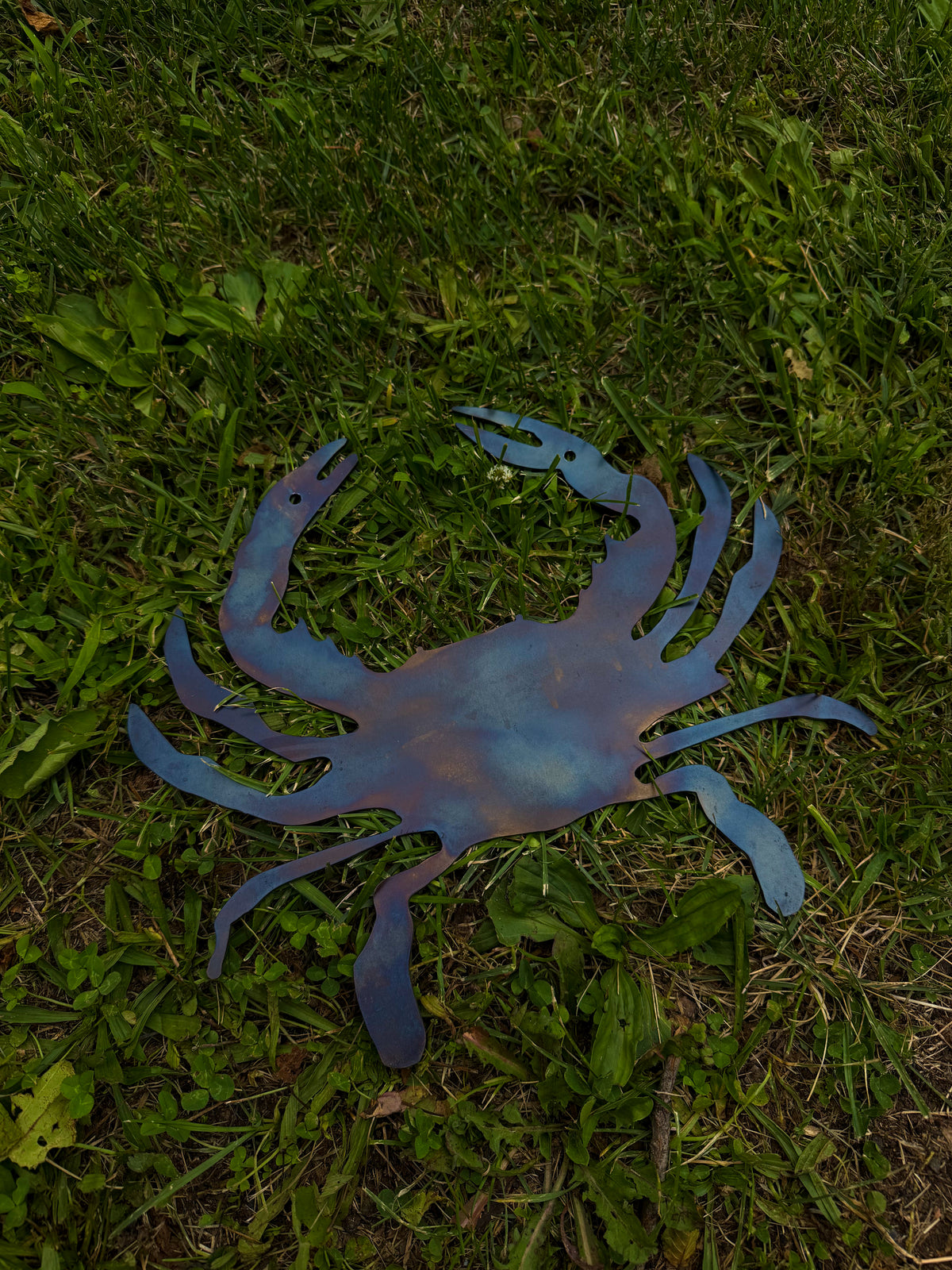 Blued Steel Crab