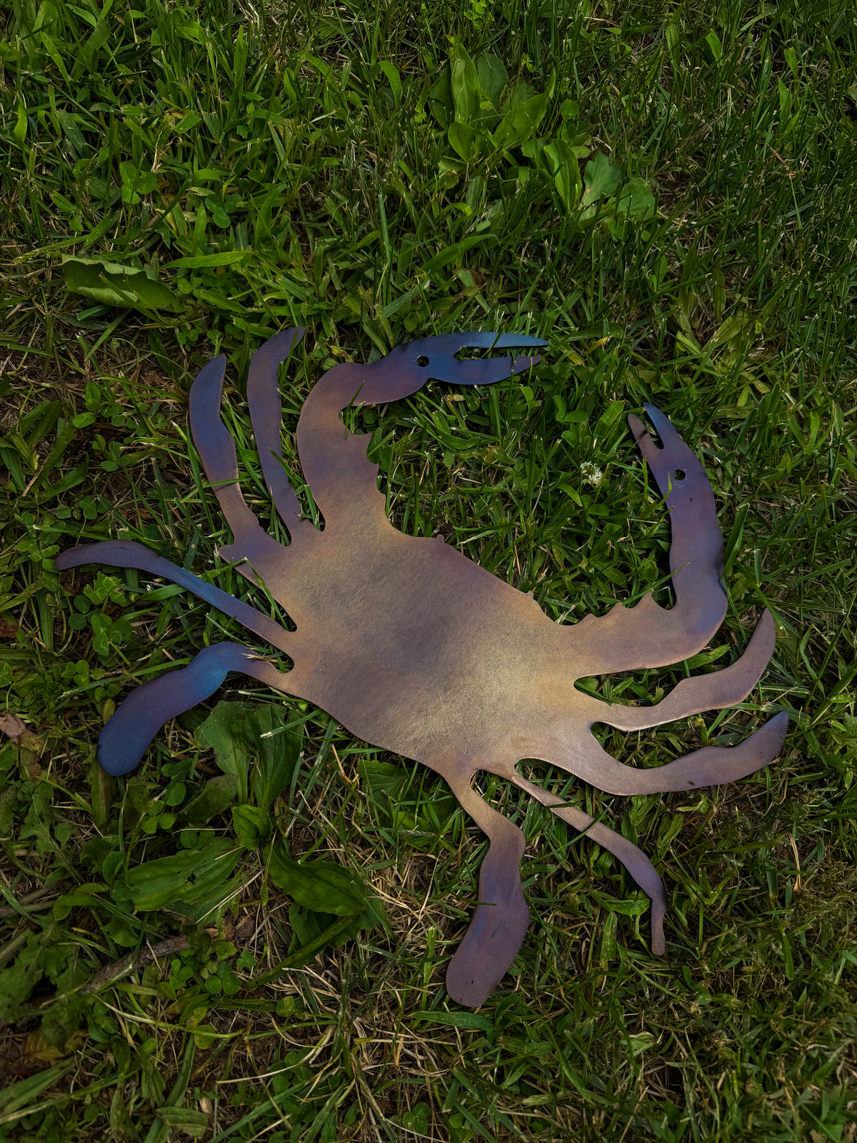Blued Steel Crab