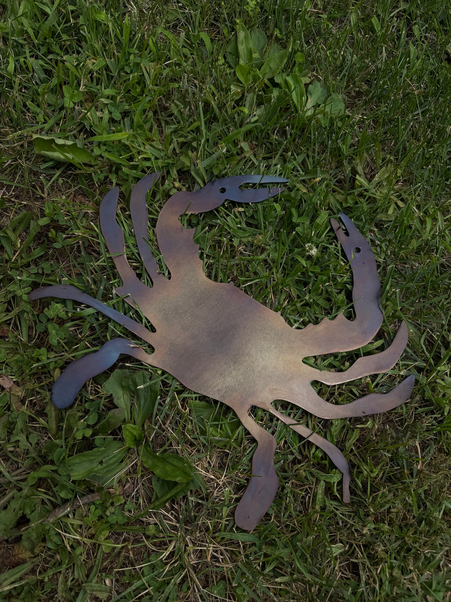 Blued Steel Crab
